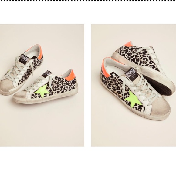 Cheetah Golden goose - Picture 2 of 8